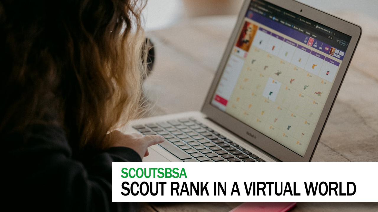 Scout Rank in a virtual world