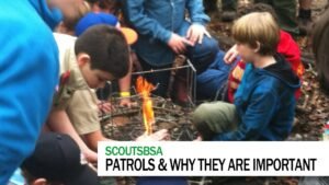 Patrols and Why they are Important