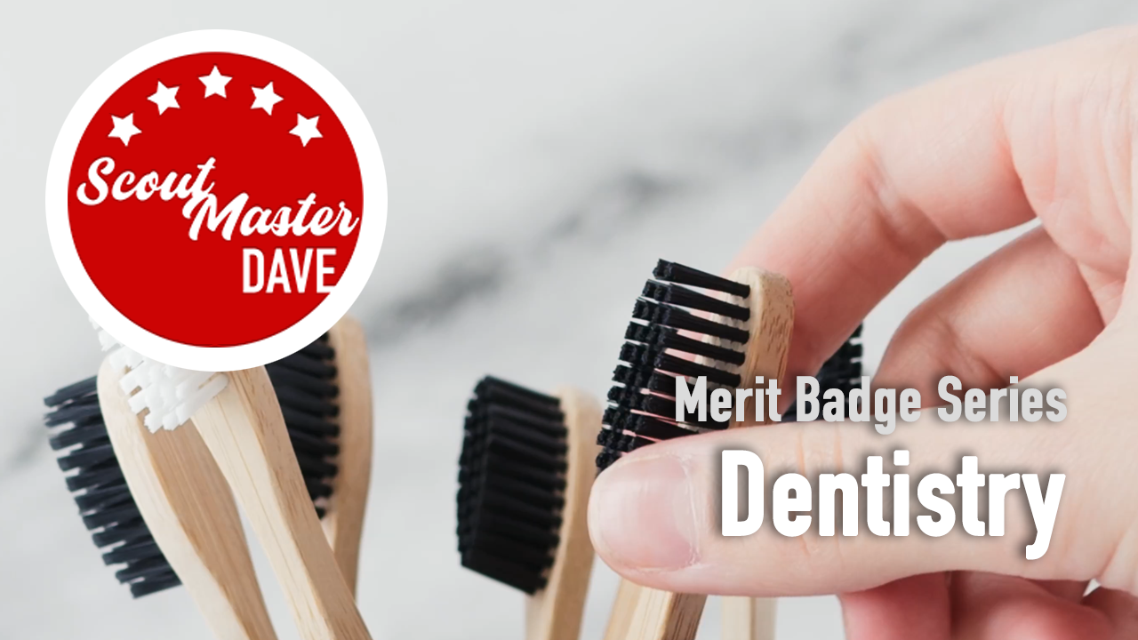 Dentistry Merit Badge Overview