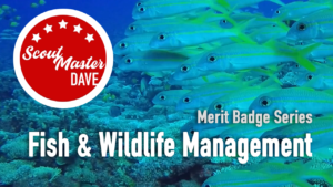 Fish & Wildlife Management Merit Badge Overview