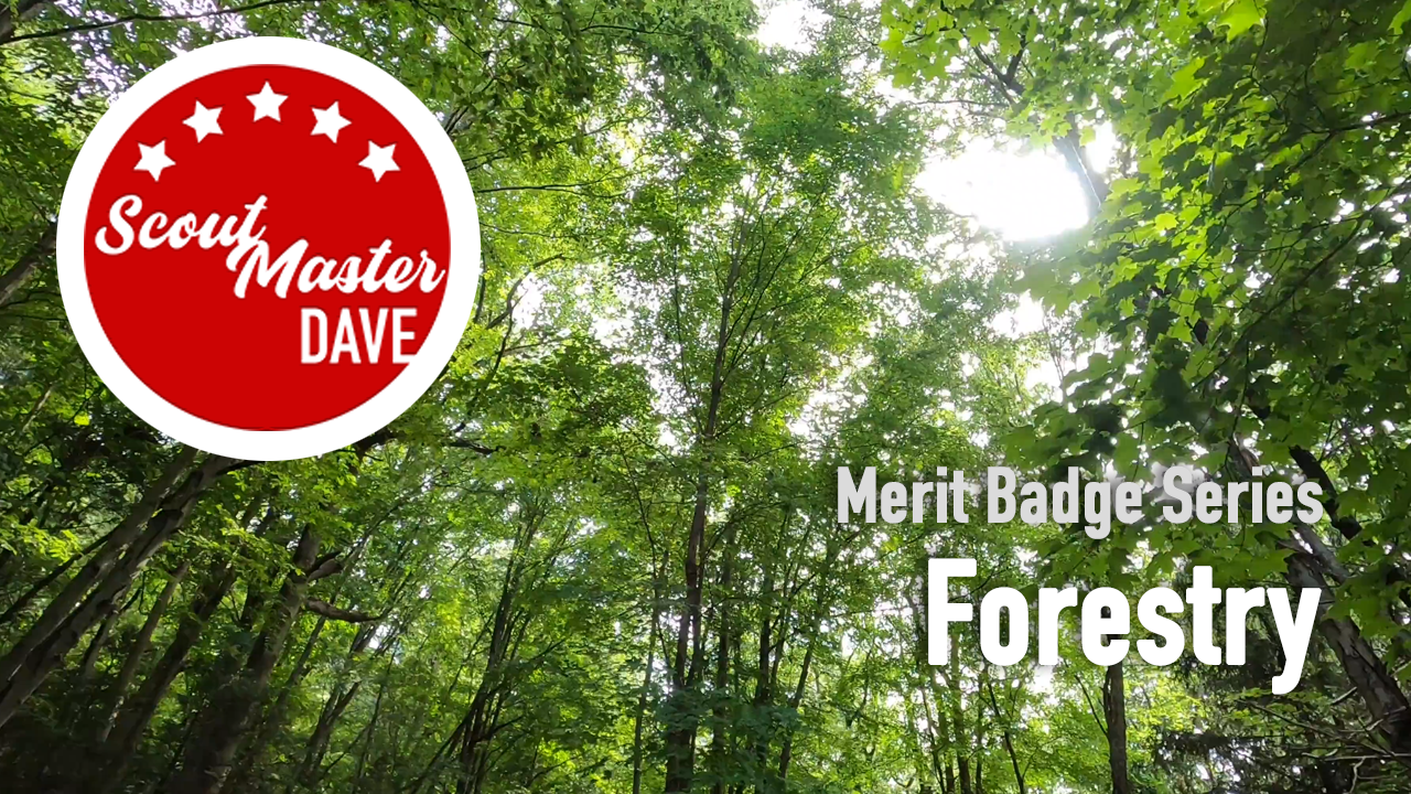 Forestry Merit Badge Overview