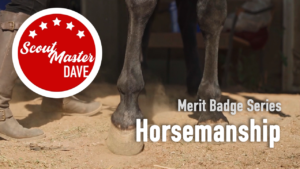 Horsemanship Merit Badge Overview