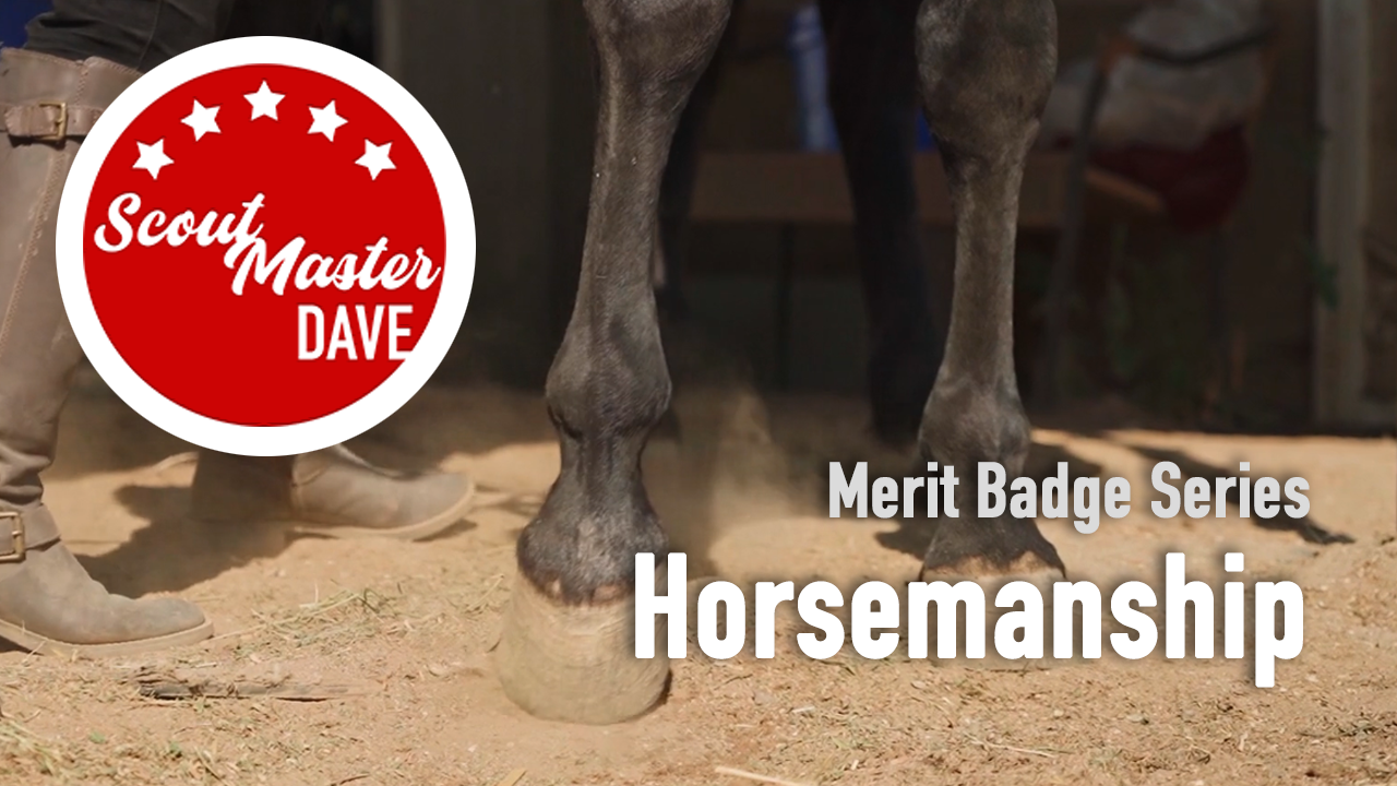 Horsemanship Merit Badge Overview