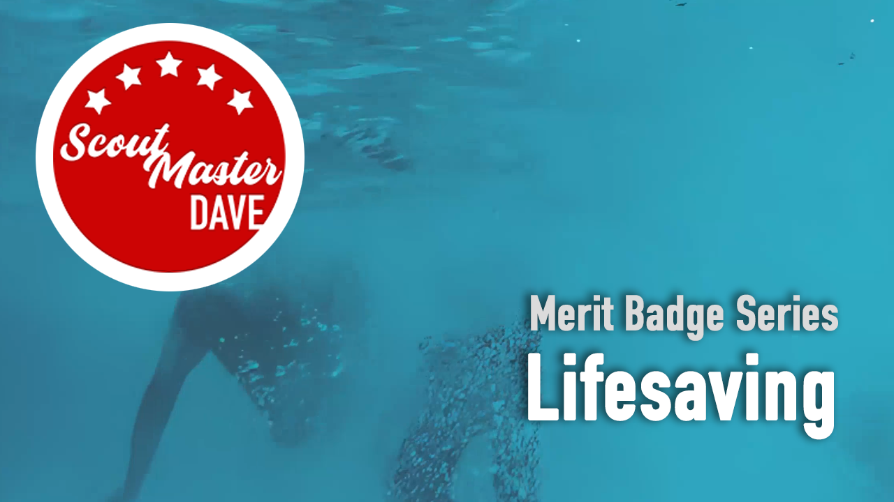 Lifesaving Merit Badge Overview