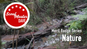 Nature Merit Badge Overview