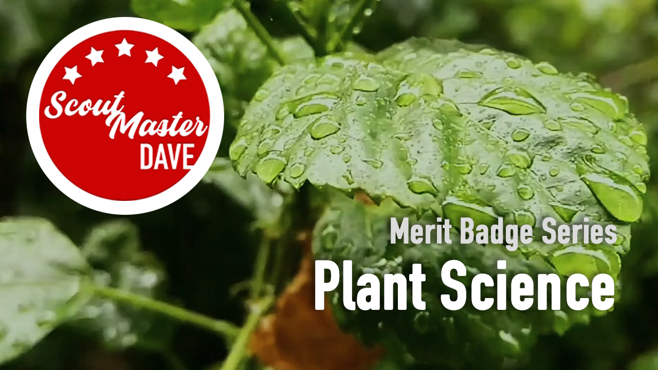Plant Science Merit Badge Overview