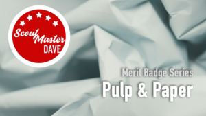 Pulp and Paper Merit Badge Overview