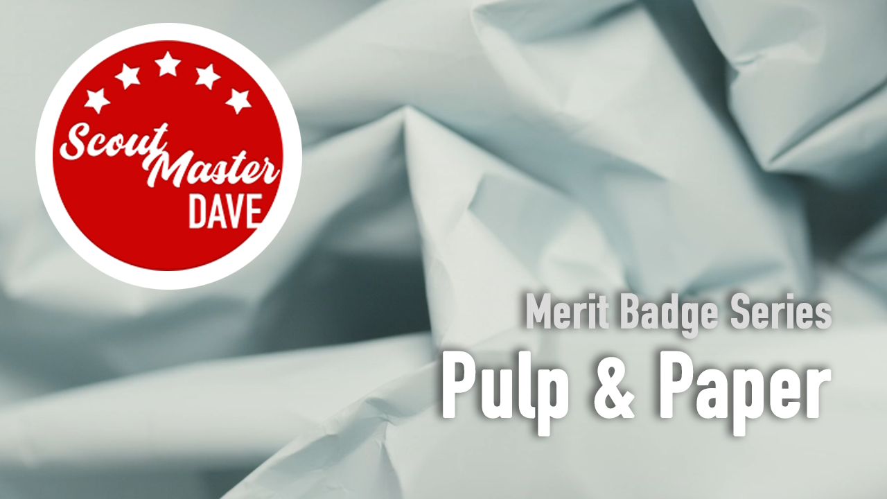 Pulp and Paper Merit Badge Overview