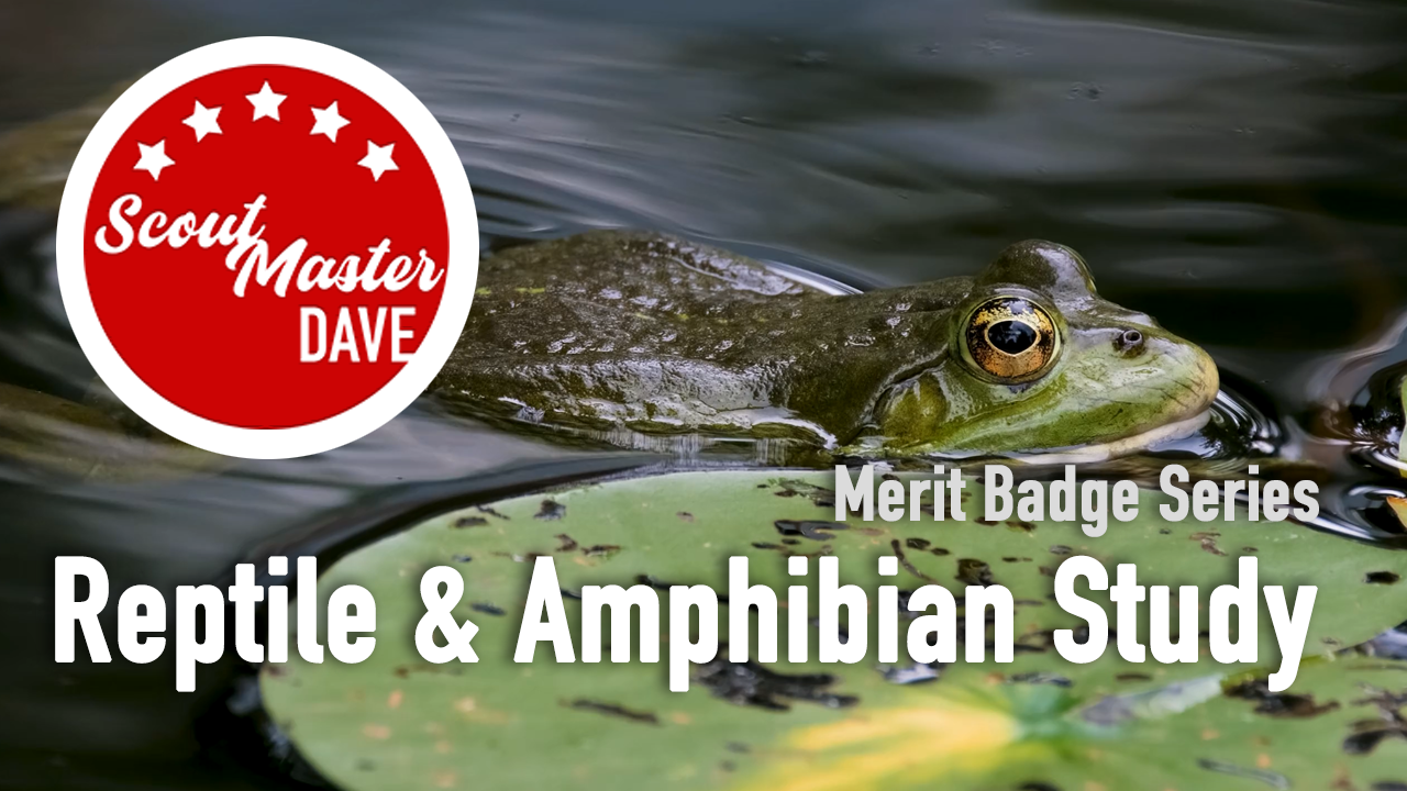 Reptile & Amphibian Study Merit Badge Overview