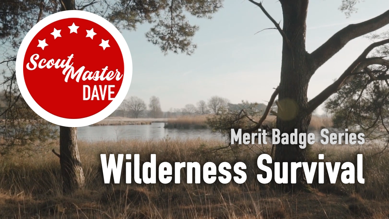 Wilderness Survival Merit Badge Overview