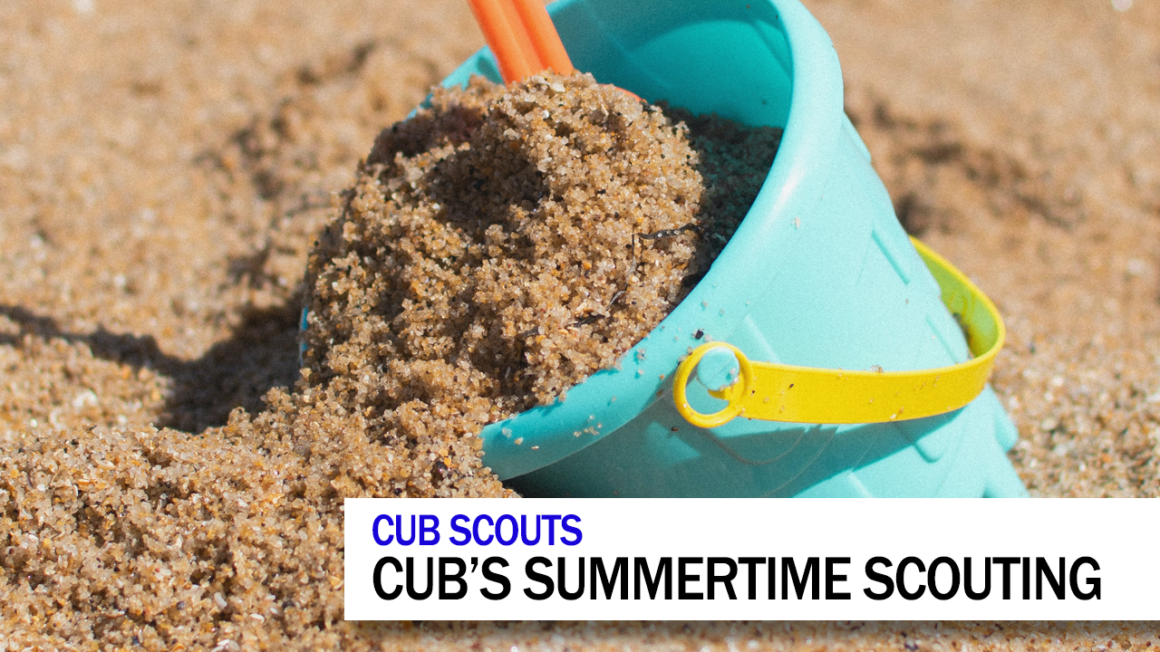 Cub's Summertime Scouting [SMD156]