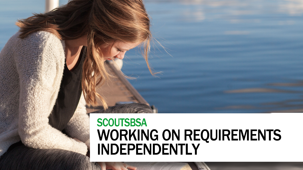 Working Independently on Requirements [SMD157]